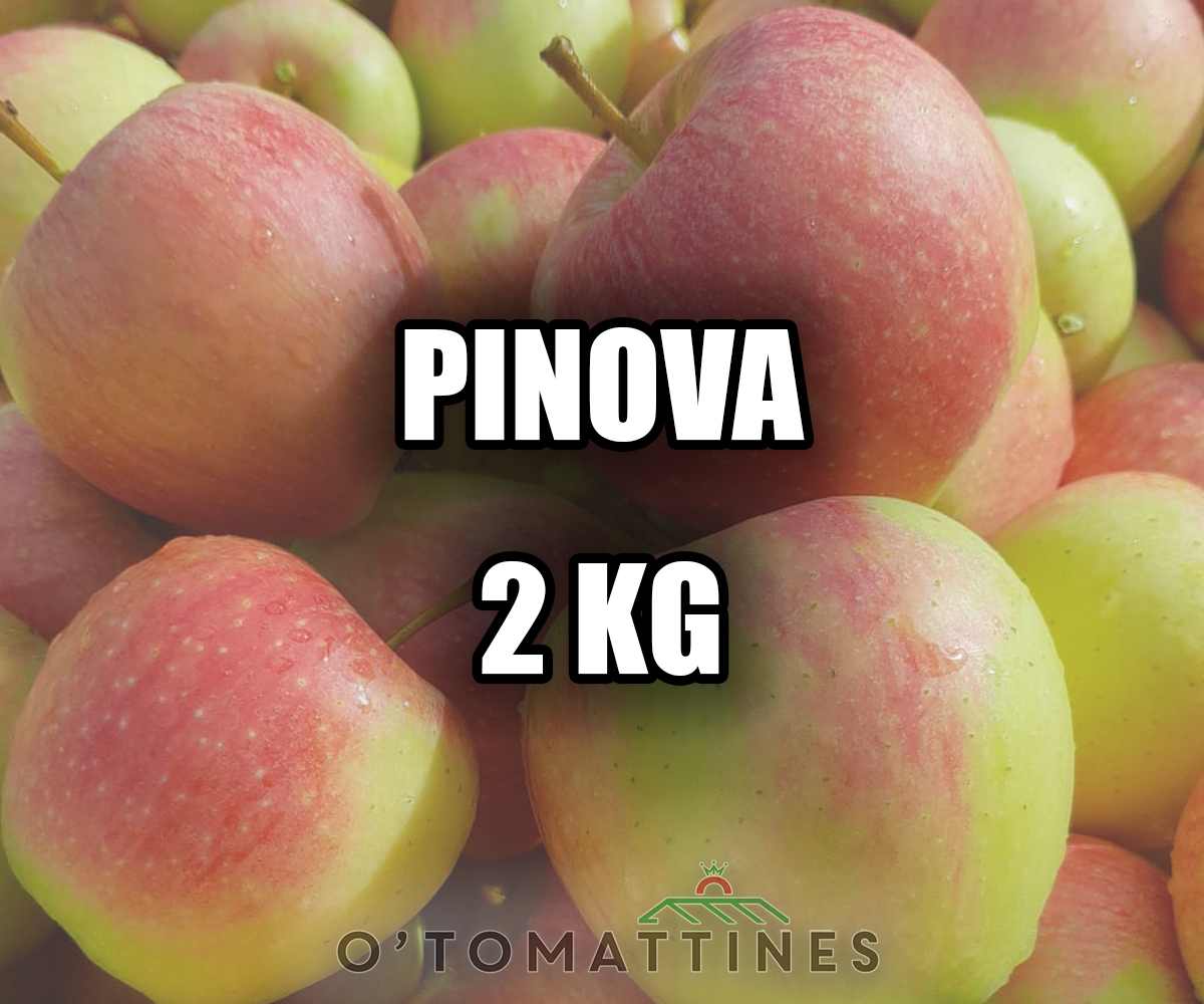 Pommes Pinova 2kg