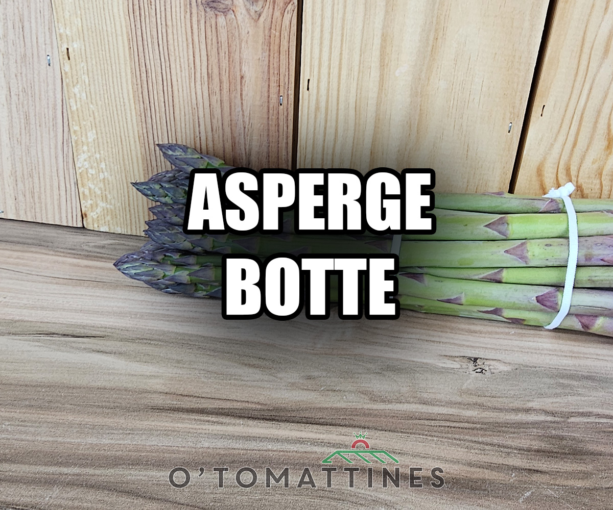 Asperges vertes Mattines botte 500gr
