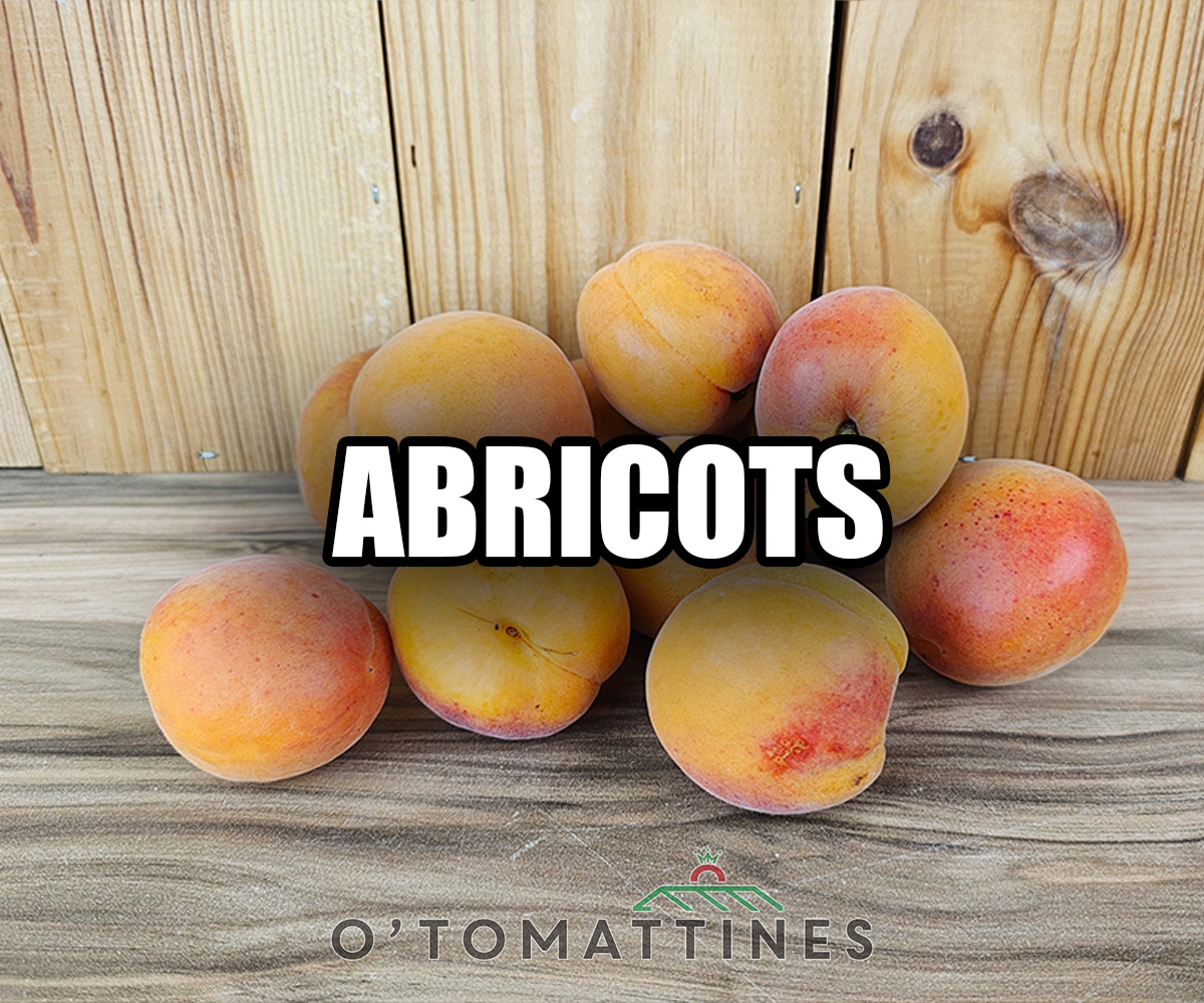 Abricots 600gr