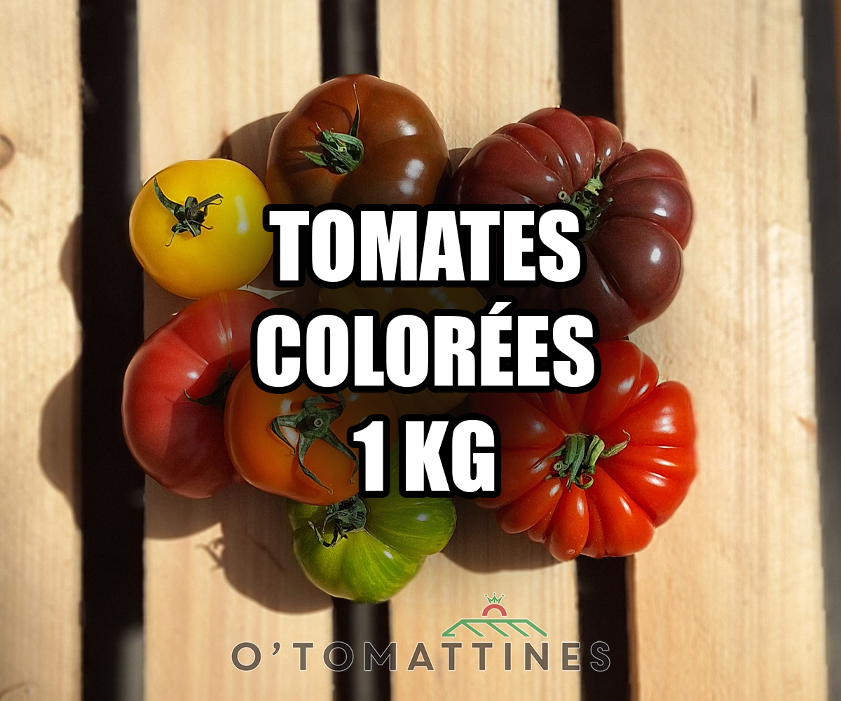 Tomates mélange 1kg