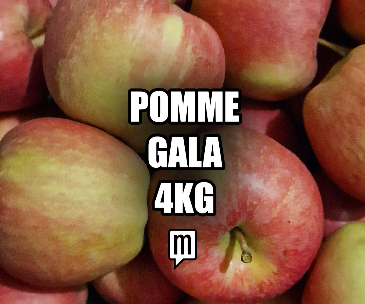 Pomme Gala  4kg